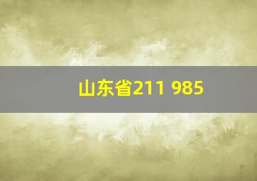 山东省211 985